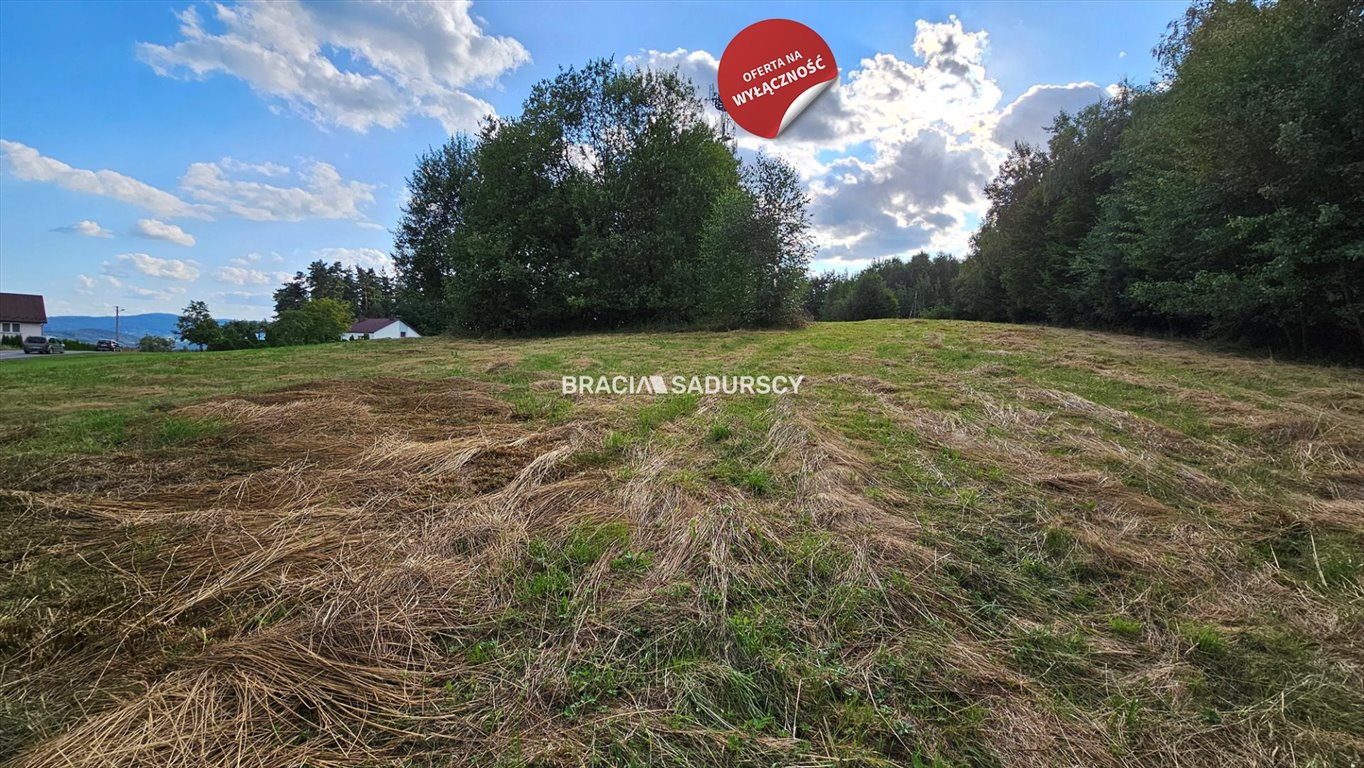 Działka budowlana na sprzedaż Połom Duży  3 500m2 Foto 8