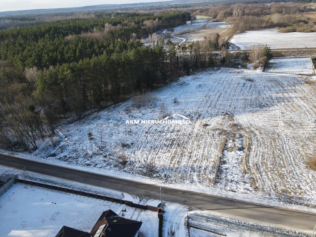 Działka budowlana na sprzedaż Ryjewo  1 100m2 Foto 5