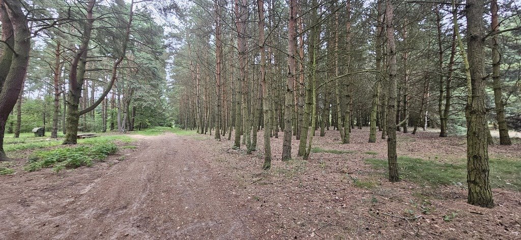 Działka 1,68 ha z lasem i jeziorami w Chełpie Chełpa  16 460m2 Foto 1
