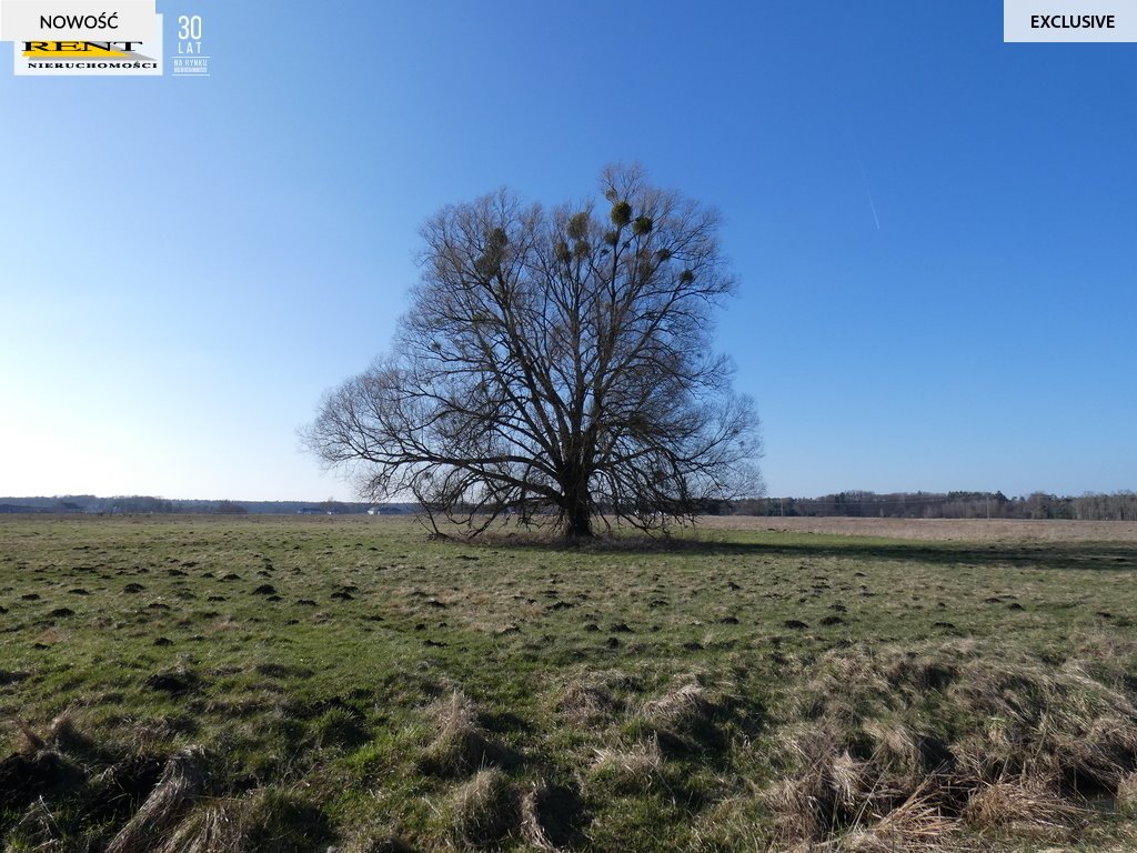 Działka rolna na sprzedaż Cisewo  21 515m2 Foto 15