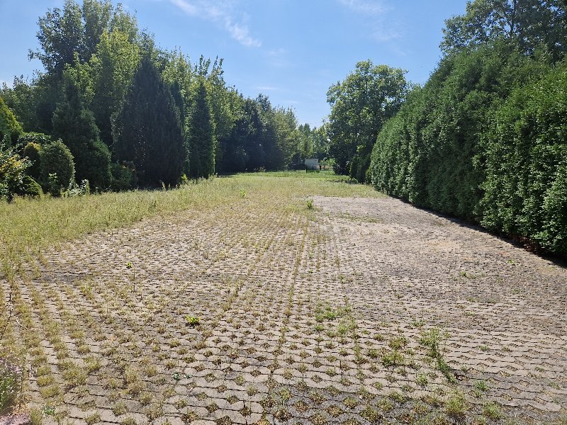 Lokal użytkowy na wynajem Mykanów, WOLA HANKOWSKA  550m2 Foto 2