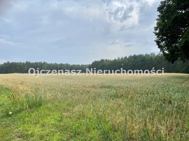 Działka budowlana 2663 m² z warunkami zabudowy - polecam! Nekla  2 663m2 Foto 1