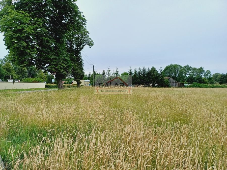 Działka inna na sprzedaż Pieczyska  1 070m2 Foto 4