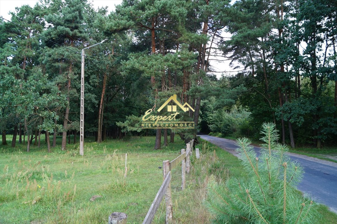 Zdjęcie 4
