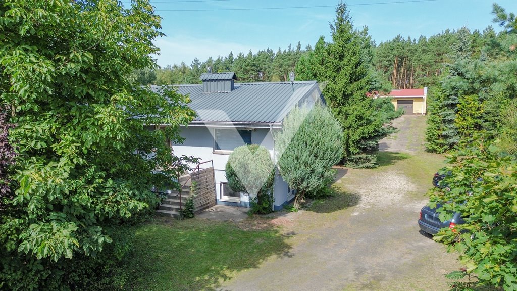 Sprzedam magazyn 547 m² z biurem i lasem w Pawłówku Pawłówek  547m2 Foto 1