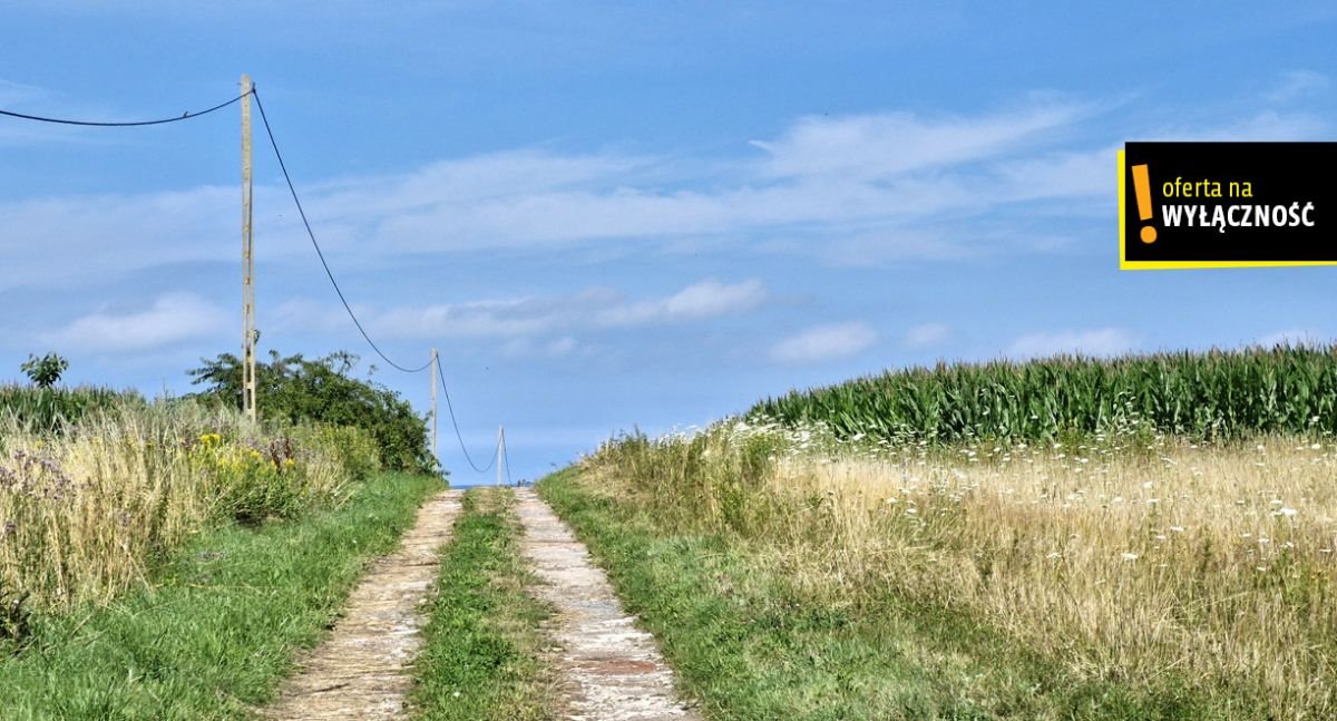 Działka rolna na sprzedaż Łęcze  26 900m2 Foto 8