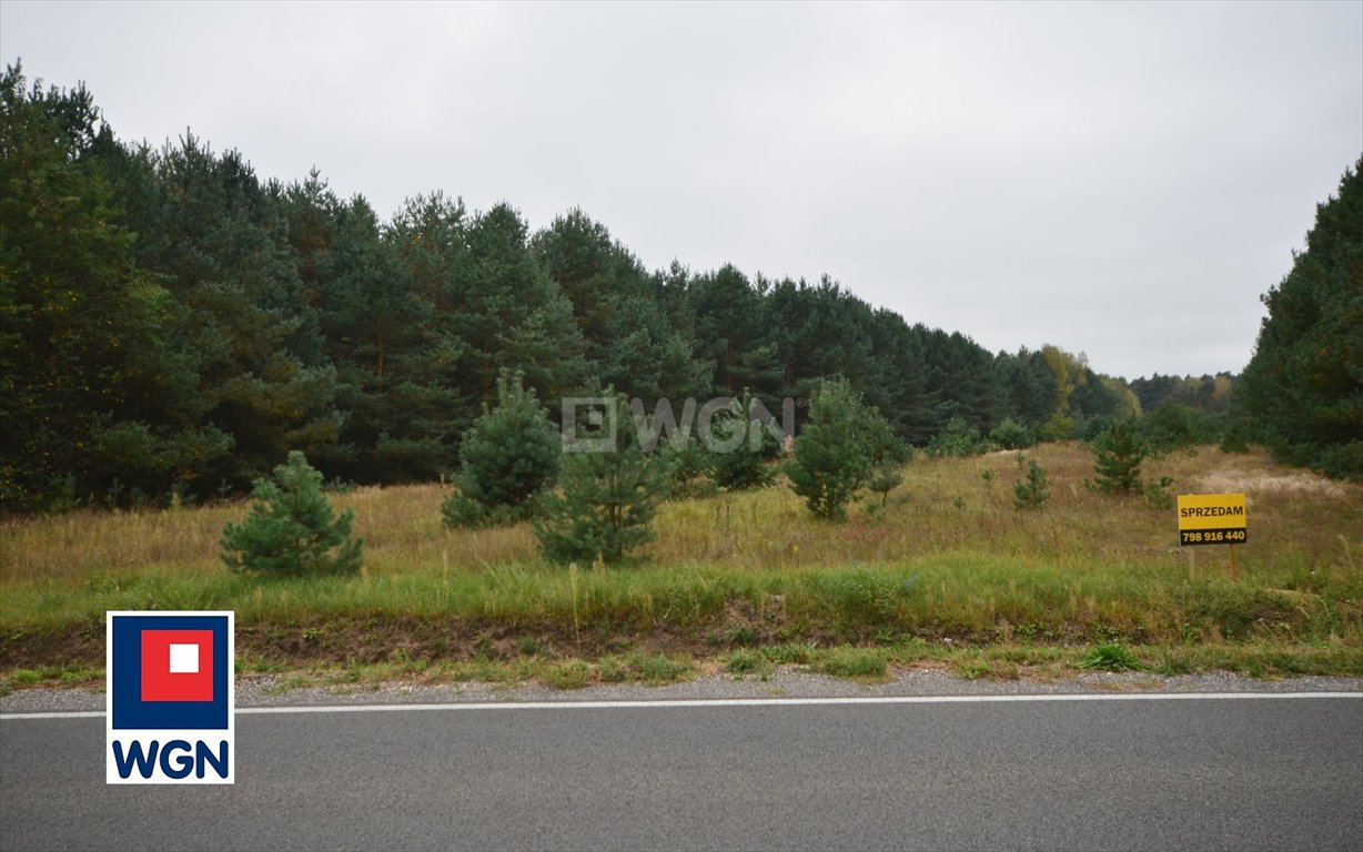 Działka 2,7 ha pod zabudowę, las i rolę, Tuszyn Tuszyn  27 283m2 Foto 1