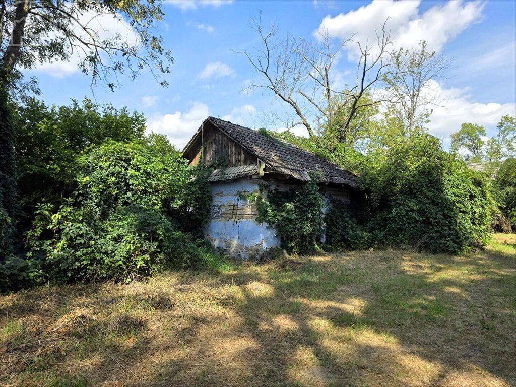 Działka budowlana na sprzedaż Lubiczko  2 600m2 Foto 1