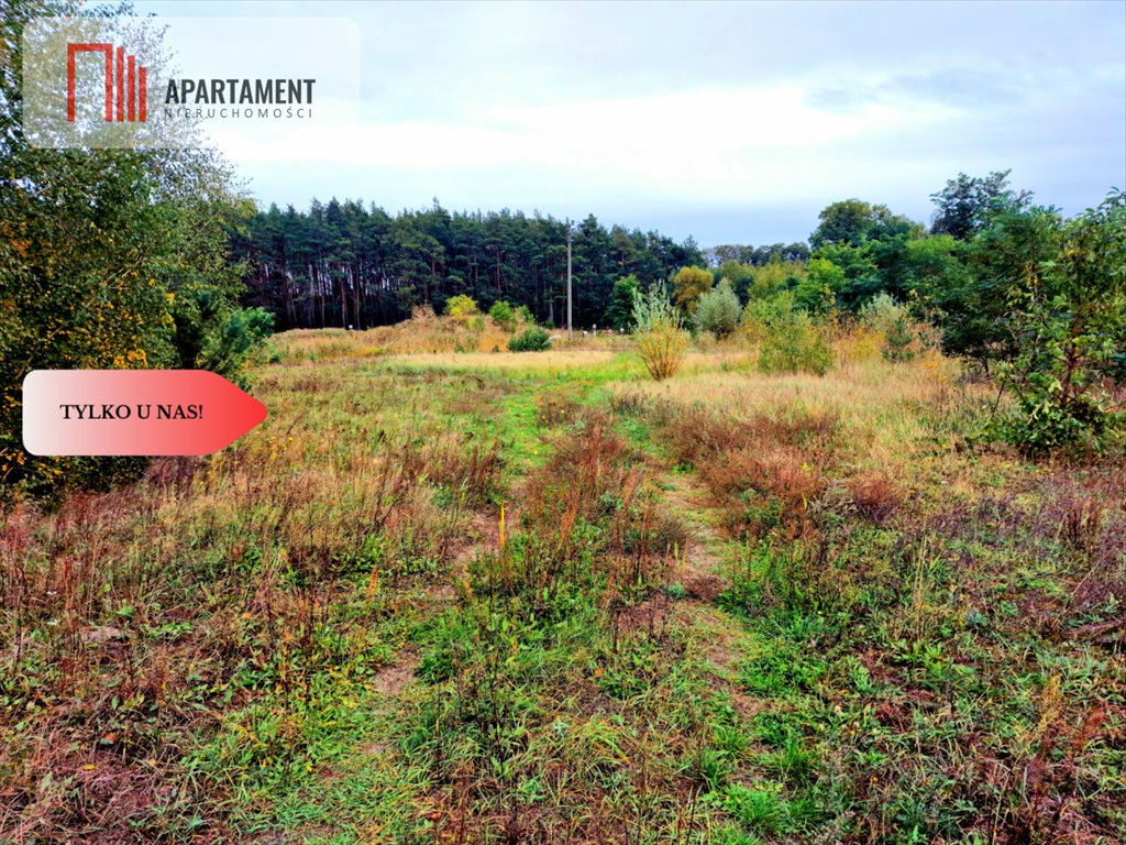 Działka z kopalnią żwiru 36,7 ha, koncesja do 2035 r. Stare Rybitwy  36 673m2 Foto 1