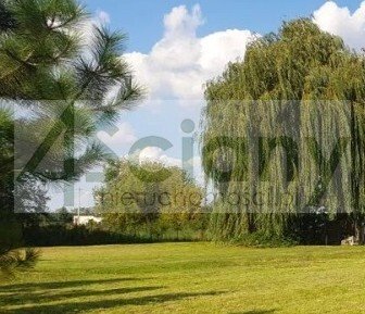 Działka budowlana na sprzedaż Warszawa, Wilanów  6 464m2 Foto 1