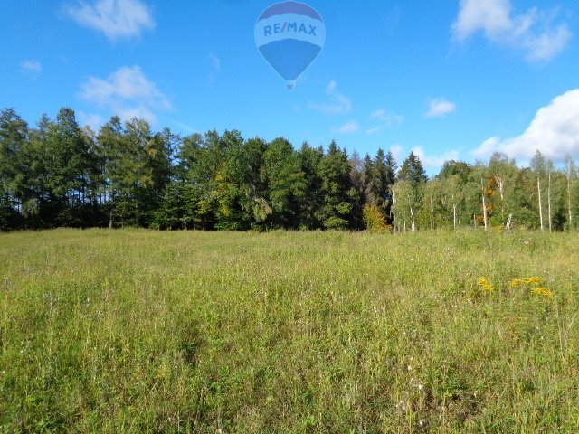 Działka budowlana na sprzedaż Ogrodniki  14 562m2 Foto 18