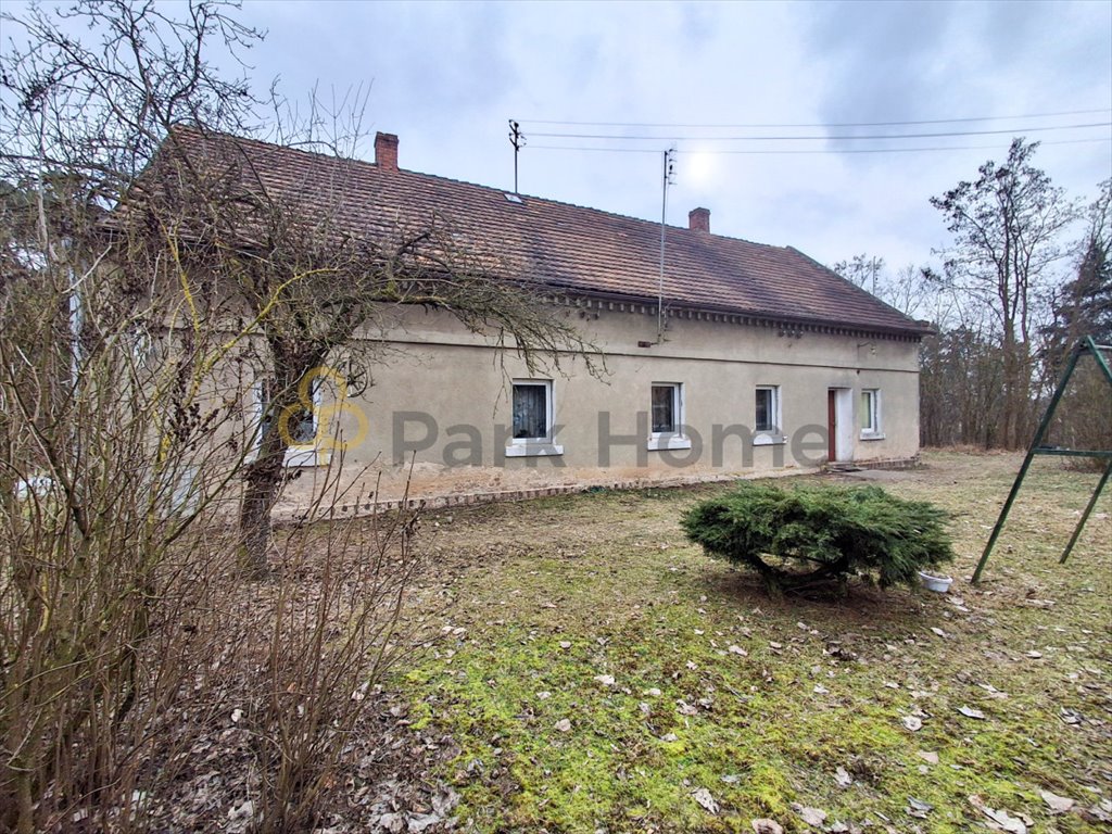 Gospodarstwo rolne z domem i lasem, 11,3 ha, cisza Gębice  113 283m2 Foto 1