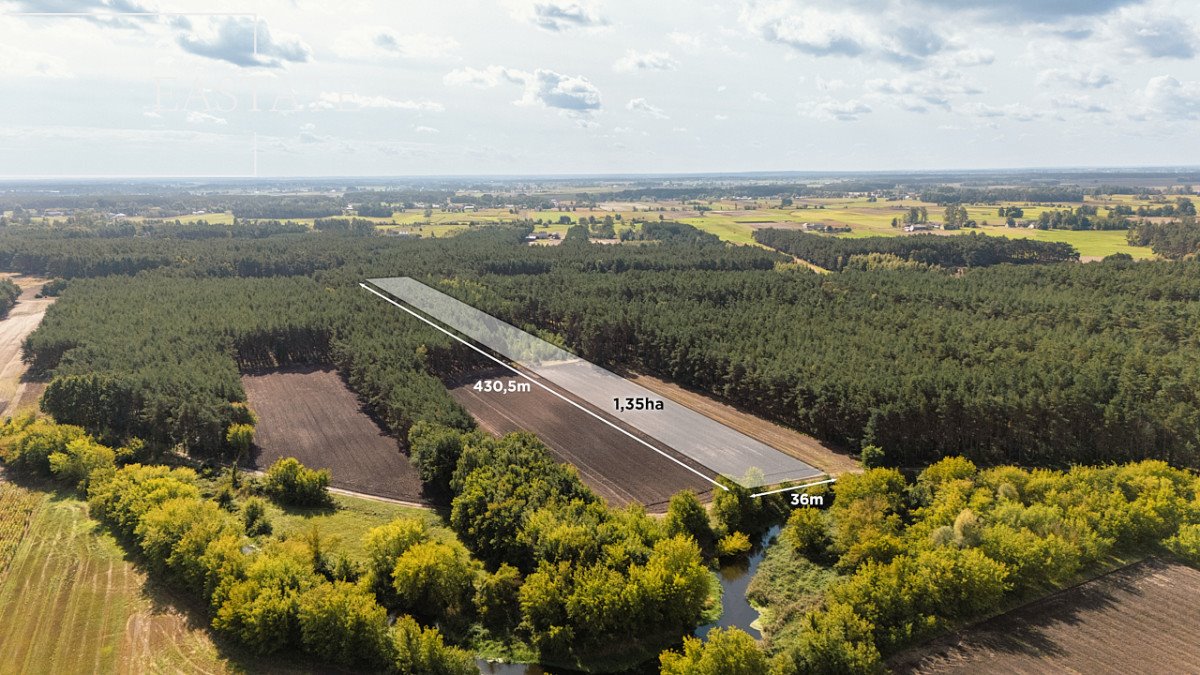 Działka leśna na sprzedaż Maurzyce  13 500m2 Foto 1