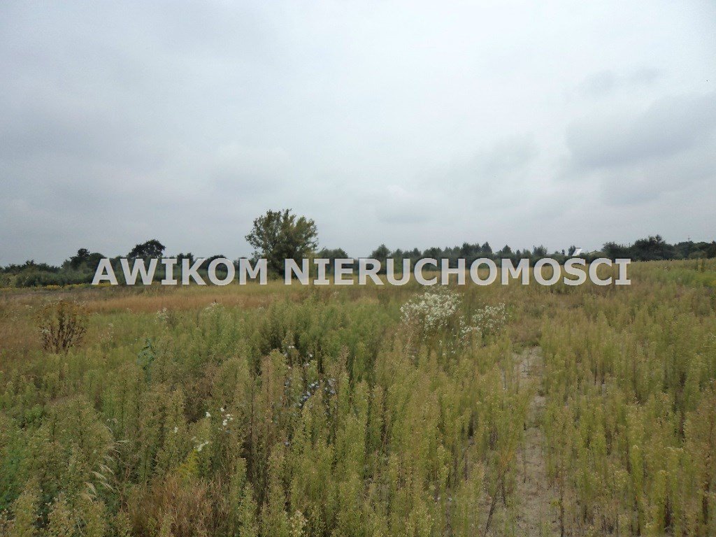 Działka rolna na sprzedaż Żabia Wola, Pieńki Słubickie  30 335m2 Foto 2