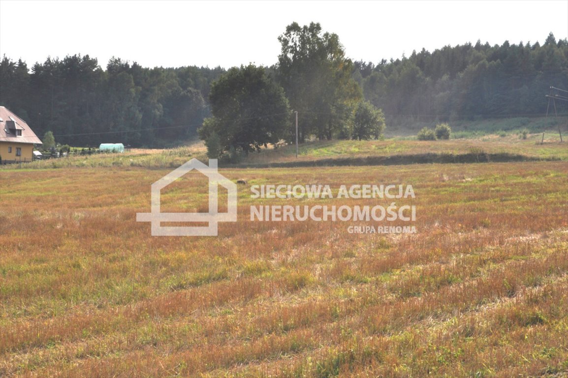 Działka 1130 m² w Borowym Lesie – spokój i natura Borek Kamienny  1 130m2 Foto 1