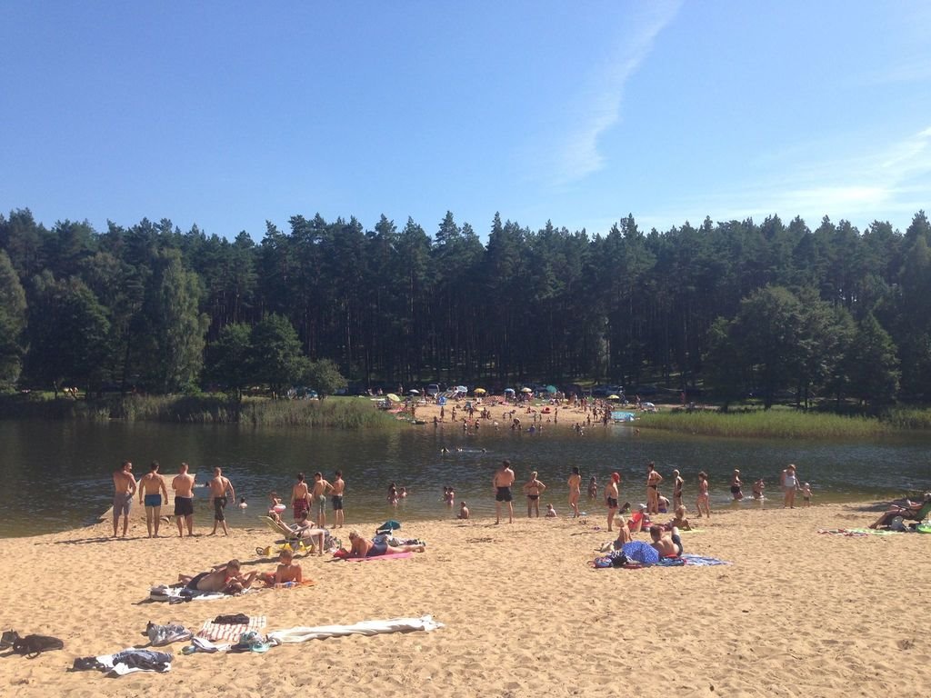 Działka leśna z prawem budowy na sprzedaż Byszyno  190 000m2 Foto 3