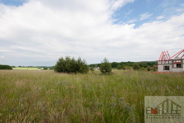 Działka budowlana na sprzedaż Wilczyn  1 000m2 Foto 1