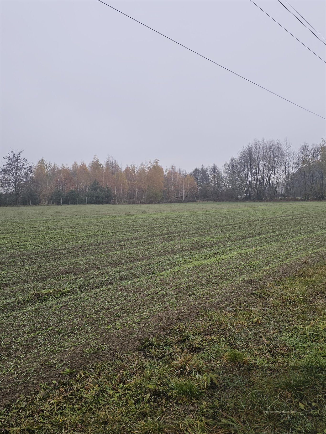 Działka budowlana na sprzedaż Władysławów  1 819m2 Foto 1