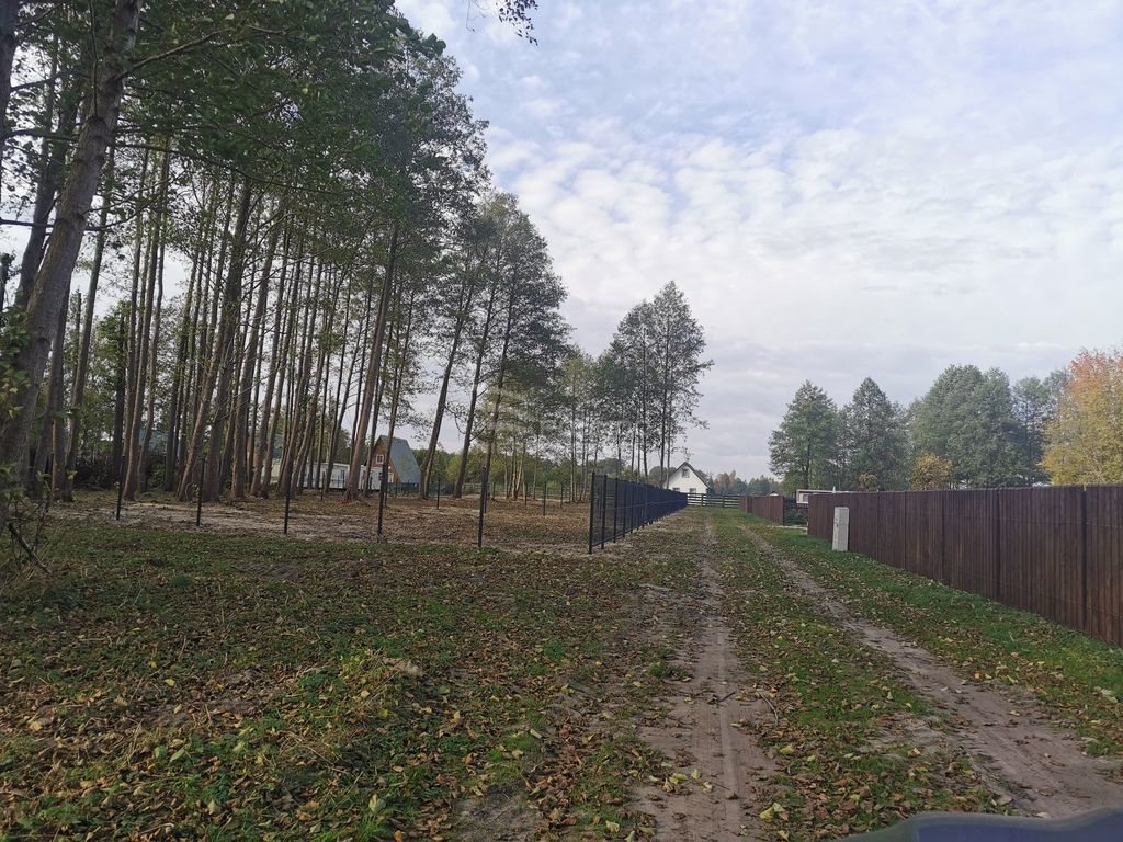 Działka rekreacyjna na sprzedaż Pilchy  600m2 Foto 18