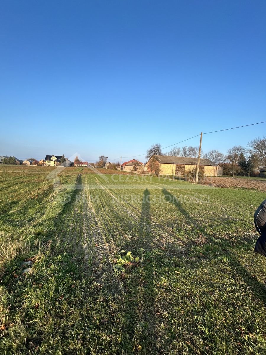 Działka budowlana na sprzedaż Stasiówka, Stasiówka  2 282m2 Foto 7