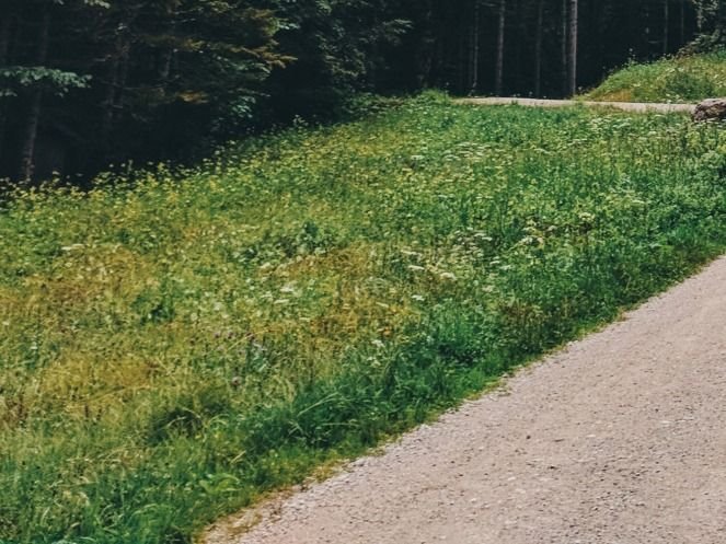 Działka siedliskowa na sprzedaż Bohdan  3 074m2 Foto 4