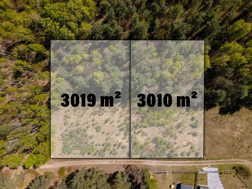 Działka pod dom jednorodzinny, 3019 m², cisza i natura Badowo-Dańki, Porzeczkowa  3 019m2 Foto 1