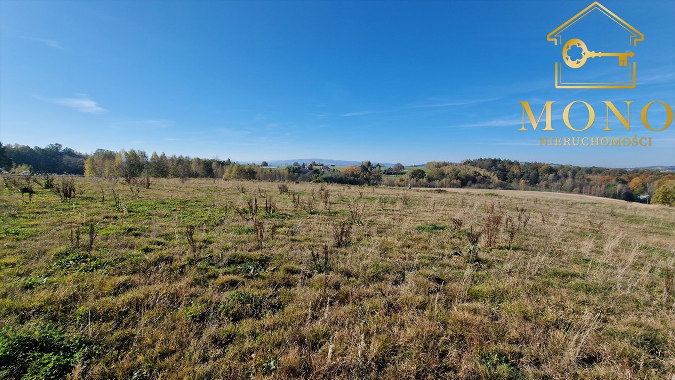 Działka rolna na sprzedaż Korczyna  15 400m2 Foto 9