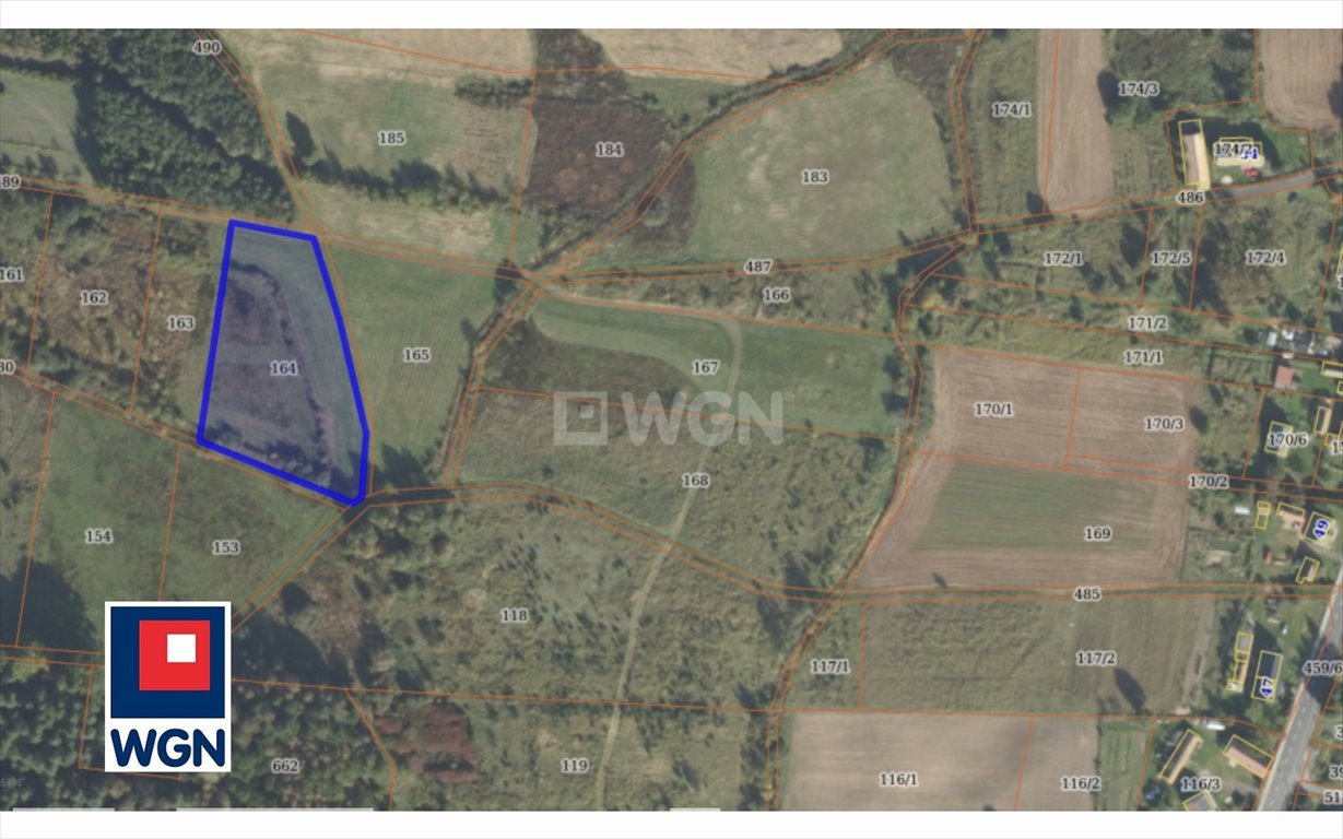 Grunty rolne 1,08 ha w Nowej Wsi – pastwiska i łąki Nowa Wieś, centrum  10 800m2 Foto 1