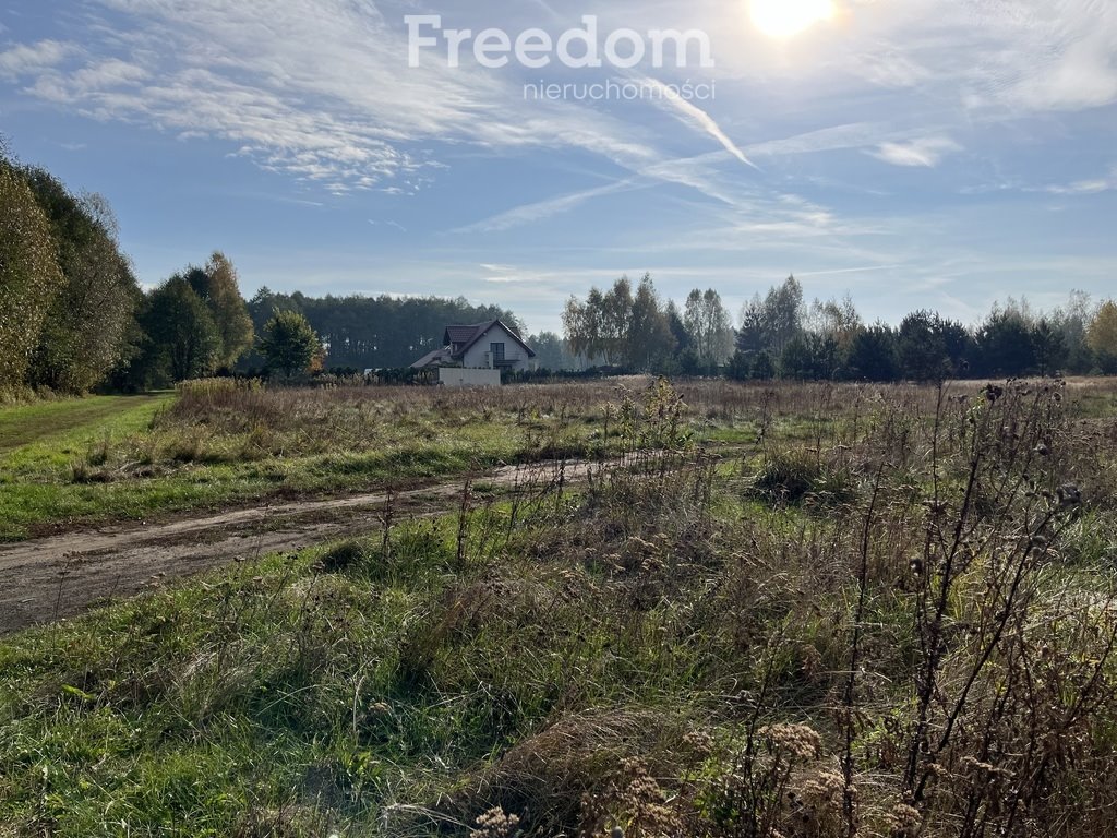 Działka budowlana na sprzedaż Zamek Bierzgłowski, Sosnowa  2 000m2 Foto 4