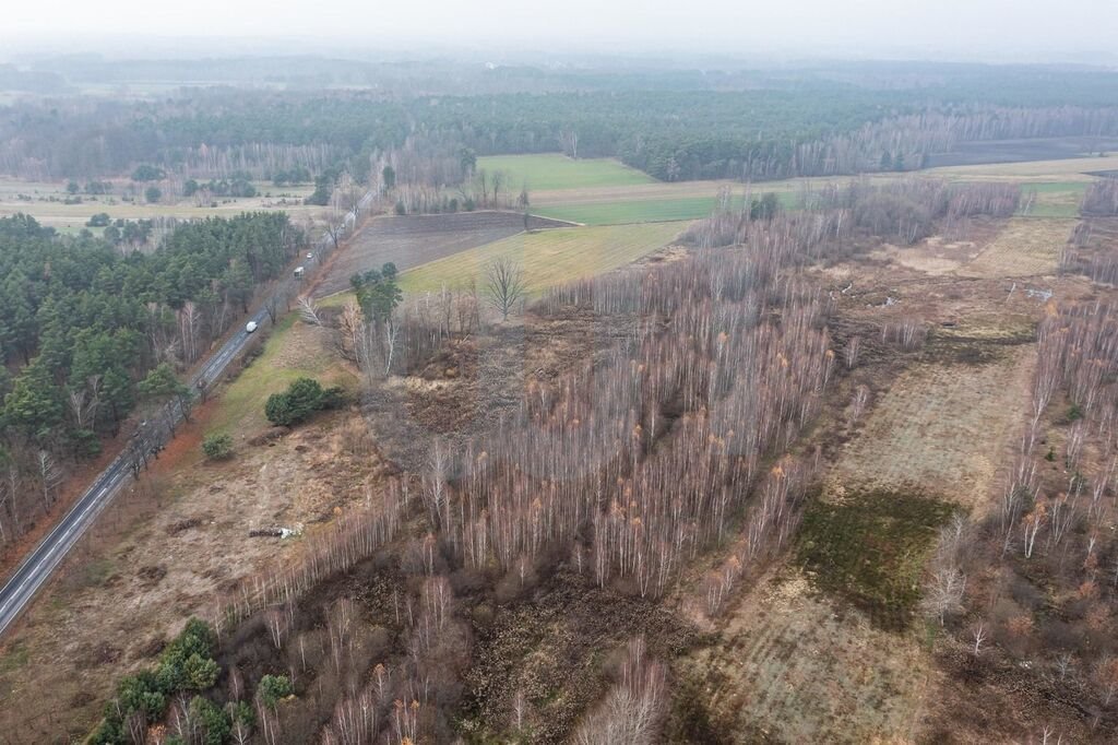 Działka komercyjna na sprzedaż Ręczaje Polskie  23 700m2 Foto 8