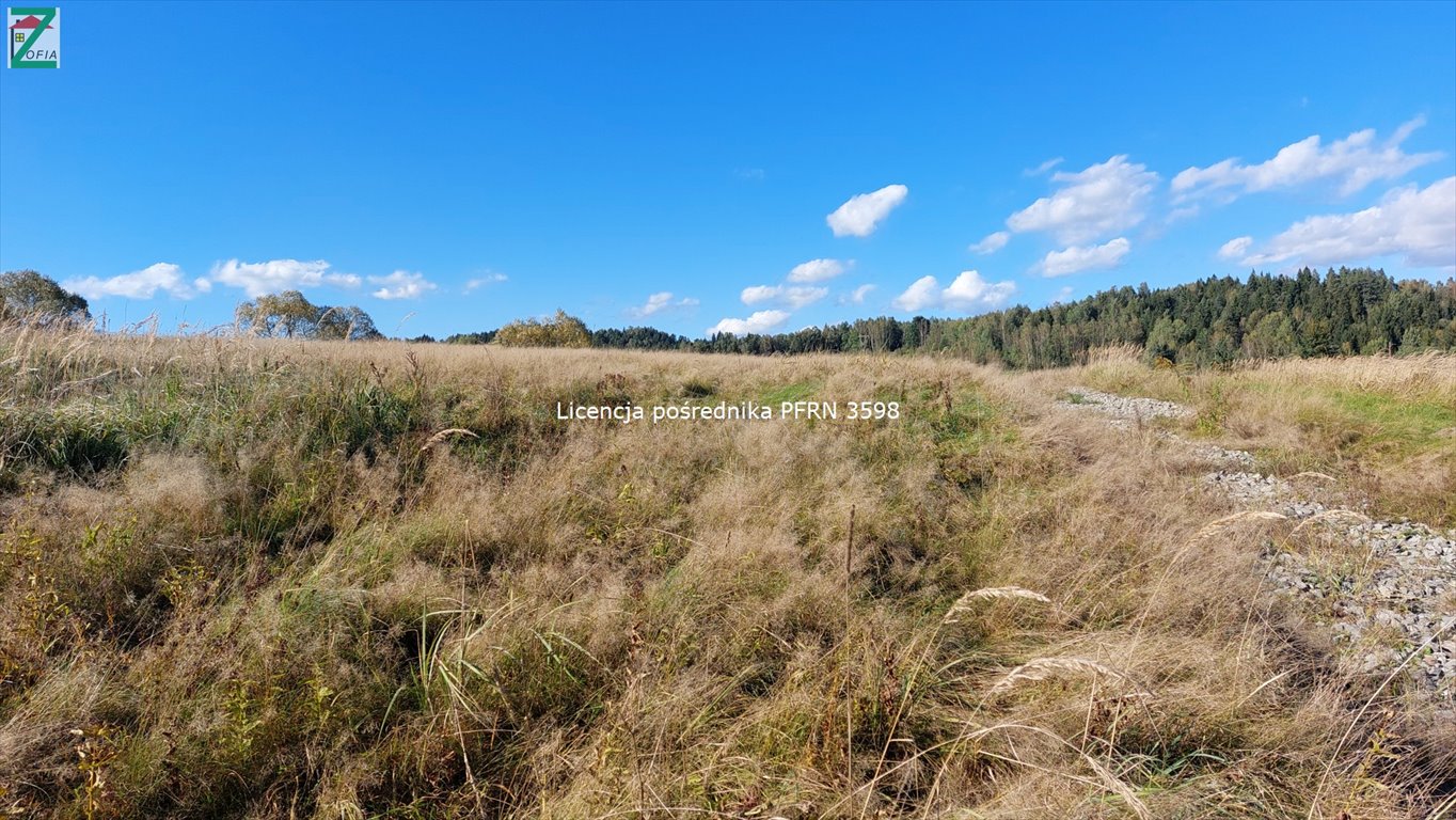 Działka budowlana na sprzedaż JORDANÓW  800m2 Foto 4