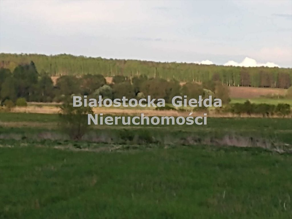 Działka 13 796 m² z warunkami zabudowy - zapraszam Ozierany Małe  13 796m2 Foto 1