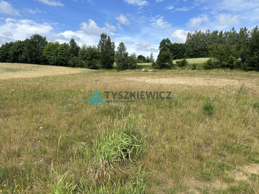 Działka rekreacyjna na sprzedaż Grabówko  1 450m2 Foto 6