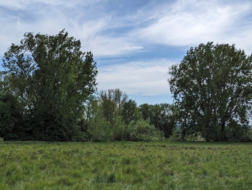 Działka inna na sprzedaż Strońsko  4 900m2 Foto 2