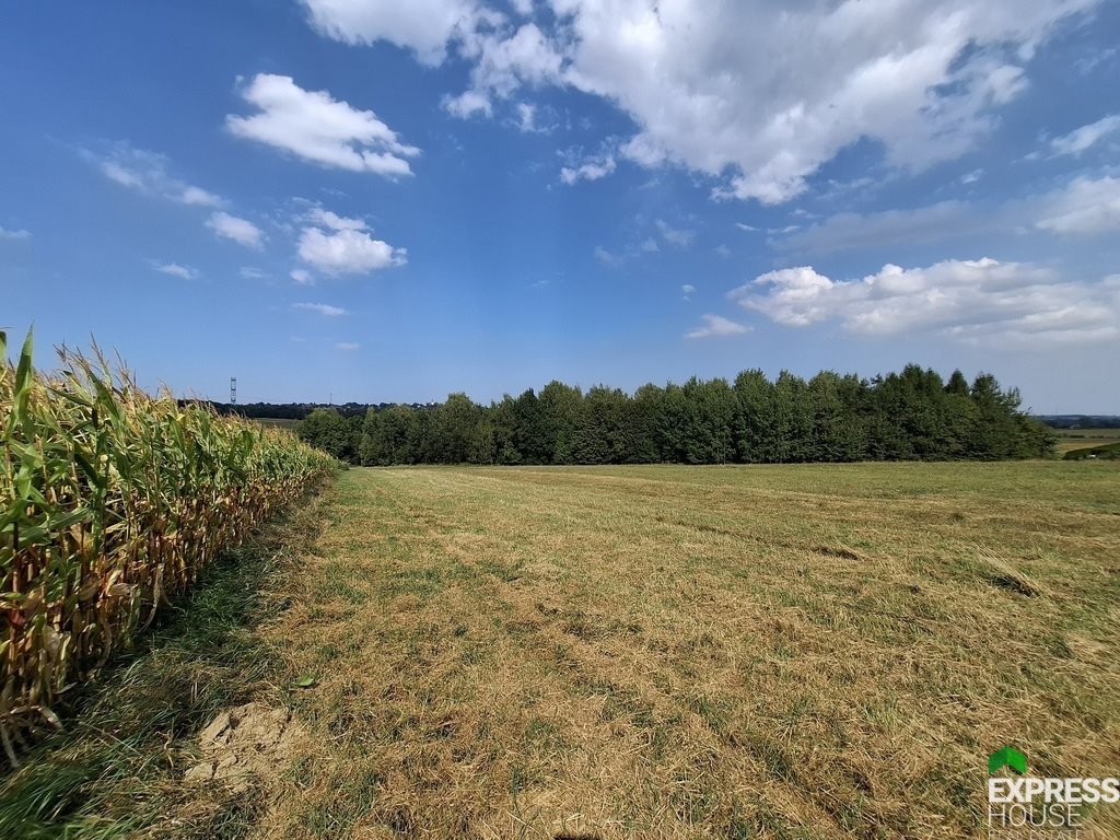 Działka budowlana na sprzedaż Rudzica  7 178m2 Foto 1