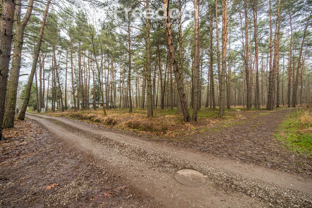 Działka budowlana na sprzedaż Złotokłos, Wierzbowa  4 200m2 Foto 2