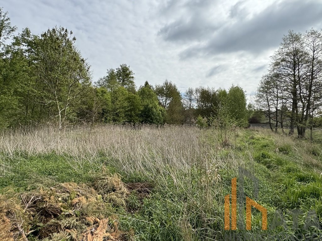 Działka budowlana na sprzedaż Długołęka  5 900m2 Foto 16