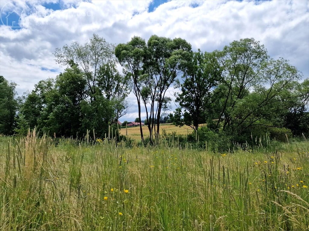 Działka budowlana na sprzedaż Sitnica  10 602m2 Foto 12