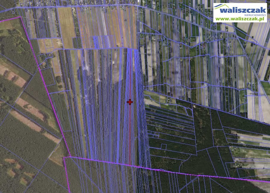 Działka leśna na sprzedaż Bilska Wola  11 780m2 Foto 1