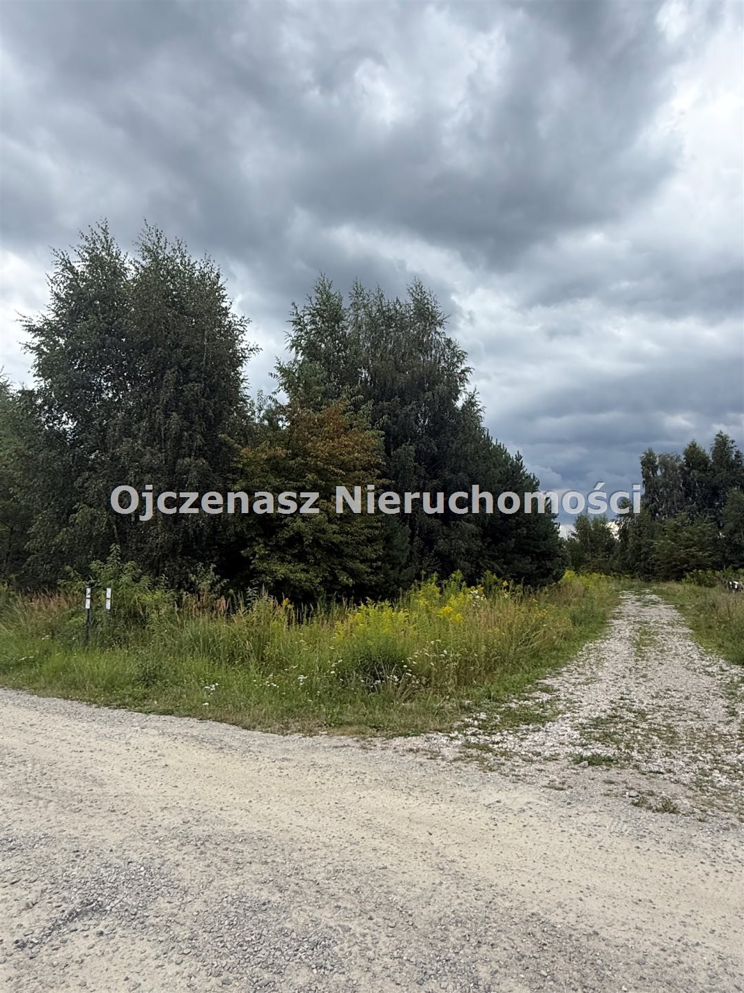 Działka 3017 m² w Niemczu z warunkami zabudowy - polecam! Niemcz  3 017m2 Foto 1