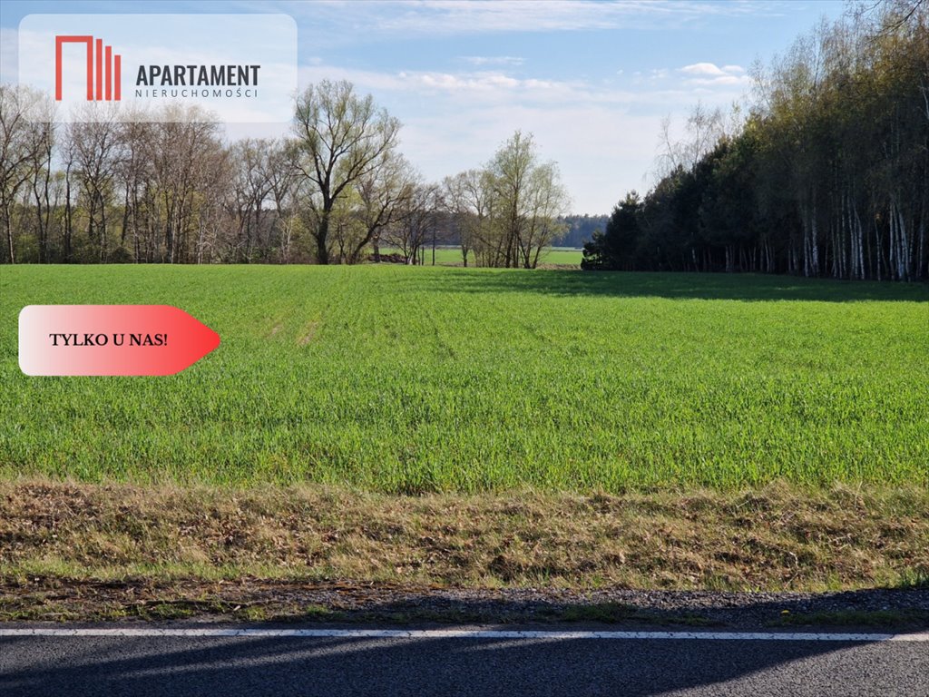 Działki budowlane 1000m², media, blisko jezior i S5 Kołdrąb  1 000m2 Foto 1