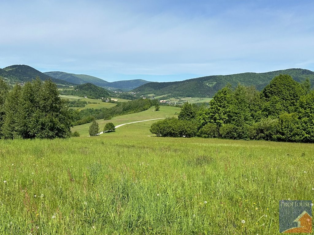 Działka budowlana na sprzedaż Skrzydlna  7 400m2 Foto 14