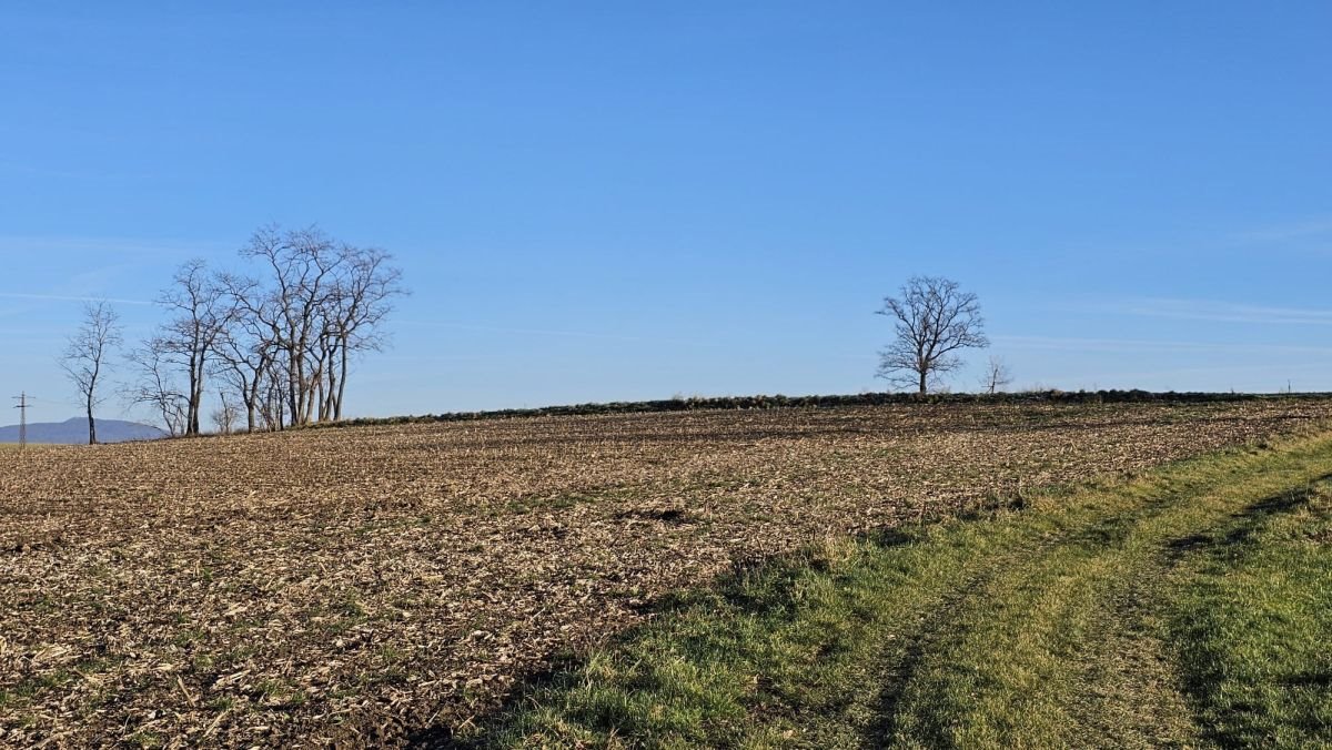 Działka siedliskowa na sprzedaż Krzczonów  8 400m2 Foto 5