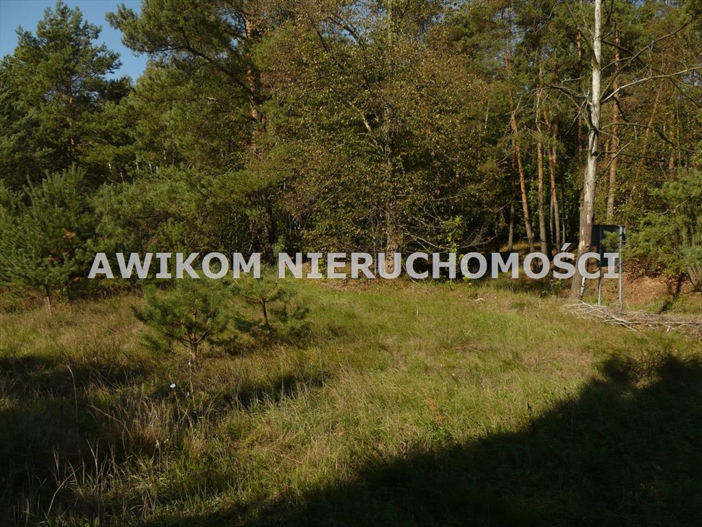 Działka leśna na sprzedaż Przewodowice  16 623m2 Foto 5