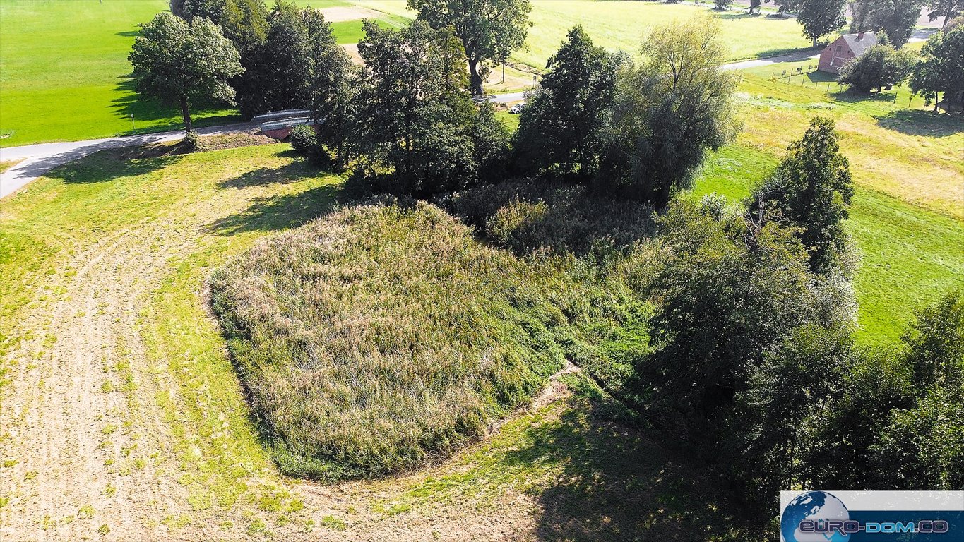 Działka budowlana na sprzedaż Borucin  15 658m2 Foto 12