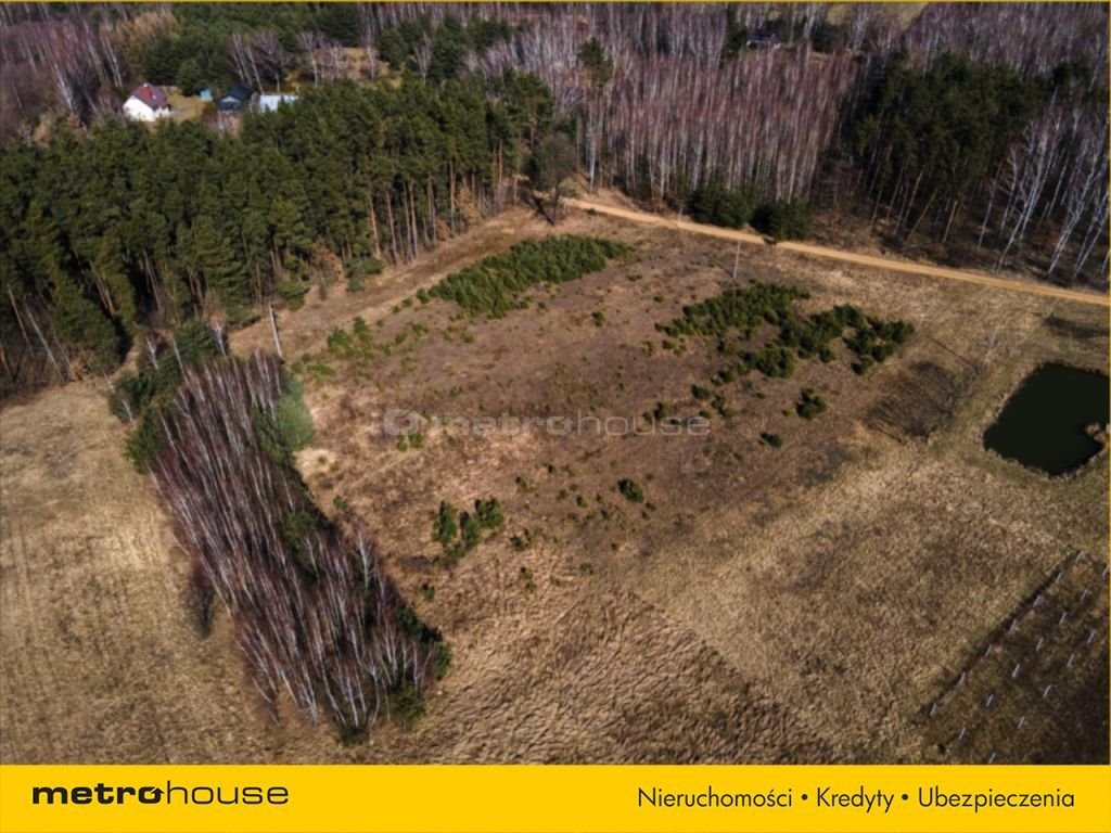 Działka inna na sprzedaż Gąba, Graniczna  3 005m2 Foto 5