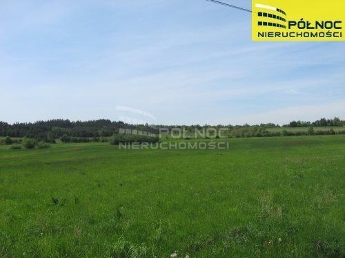 Działka 3816 m2 z planem pod zabudowę w Wolbromiu Lgota Wolbromska  3 816m2 Foto 1