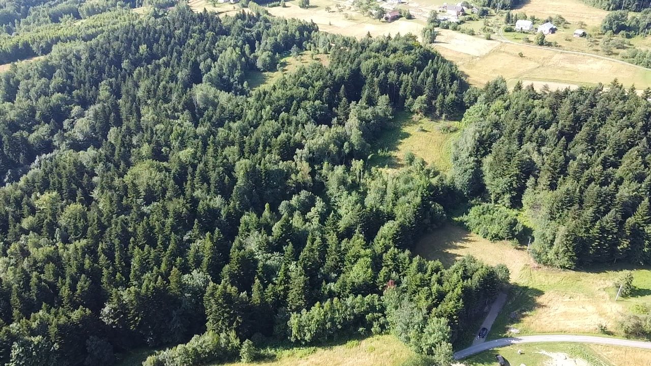 Działka budowlana na sprzedaż Szalowa  3 100m2 Foto 5