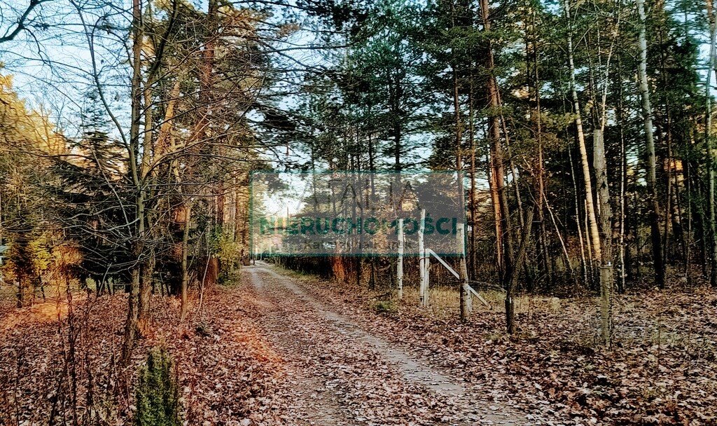 Działka 1800 m² w Wolicy, prestiż i natura - polecam! Wolica  1 800m2 Foto 1