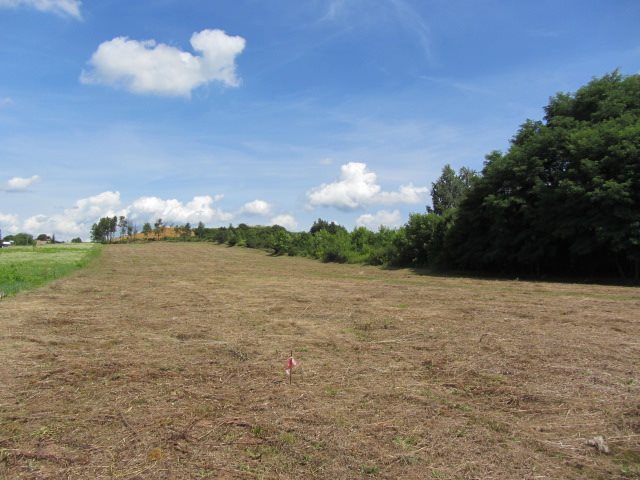 Działka budowlana na sprzedaż Myszkowice, Leśna  952m2 Foto 6